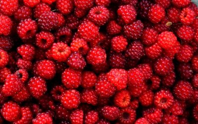 Zašto su maline odlične za osobe na dijeti?