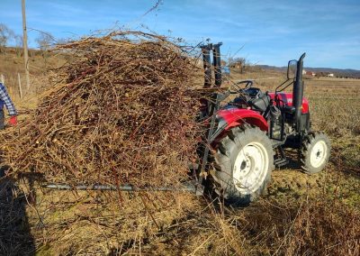 Čišćenje voćnjaka - Hrabri brđanin